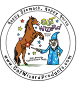 Gut Wizard LLC