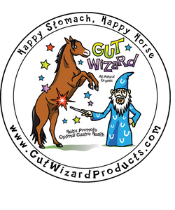 Gut Wizard LLC