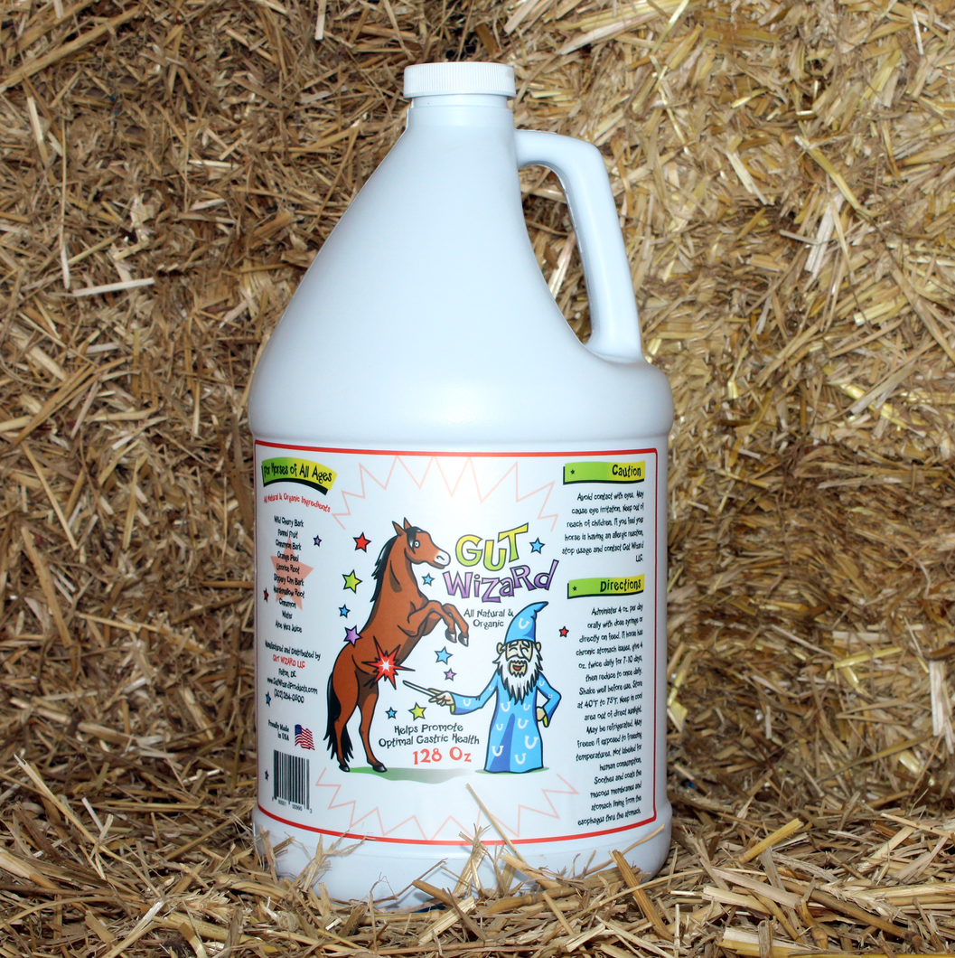 Gut Wizard - 1 Gallon Jug (Includes Shipping!)